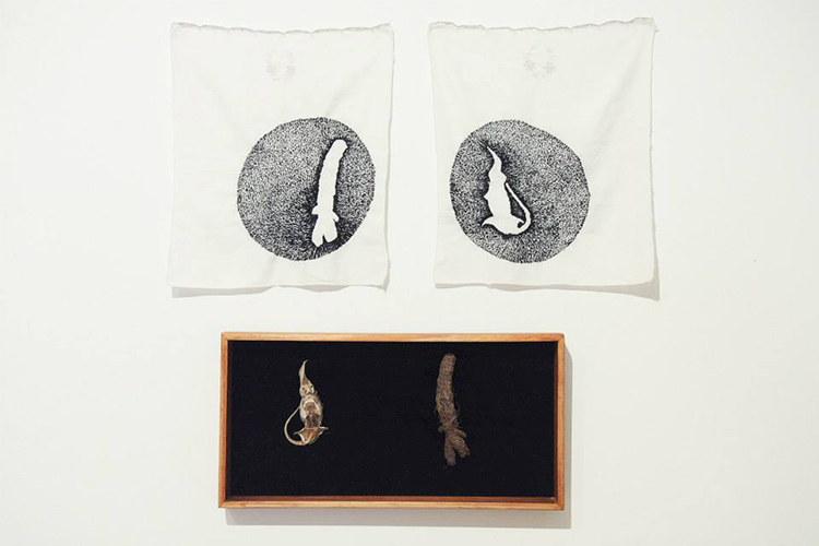 ENDOTICA. Embroidery on antique napkins, wooden box, animal and vegetable objects. Variable sizes. 2014.