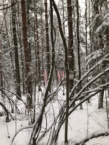 “silenceawarenessexistence”, january 2018, arteles, haukijarvi finland.