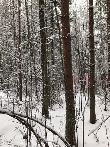 “silenceawarenessexistence”, january 2018, arteles, haukijarvi finland