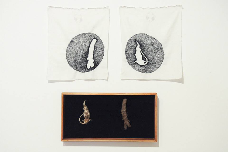 UENDOTICA. Bordado Sobre servilletas antiguas, caja de madera, objetos animales y vegetales. Medidas variables. 2014.