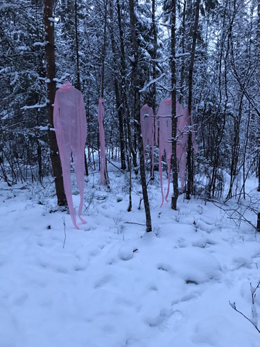 “silenceawarenessexistence”, january 2018, arteles, haukijarvi finland.